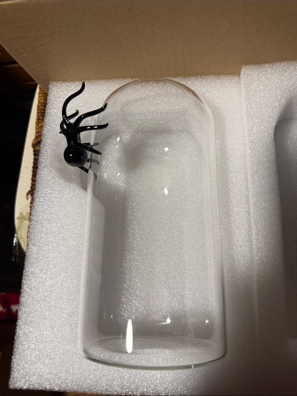 West Elm Clear Glass Bud Vase with Black Spider 🕷️ Accent BNIB - Picture 6 of 7